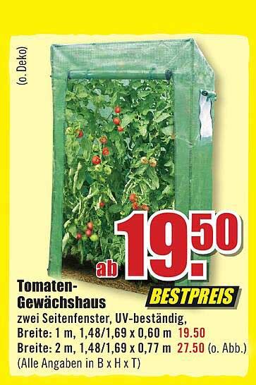 Tomaten Gewächshaus Angebot bei B1 Discount Baumarkt