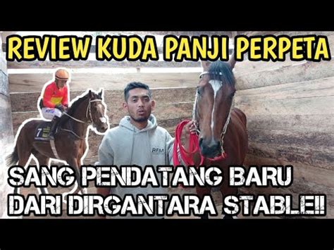 KUDA PANJI PERPETA KUDA JUARA SIAP RAMAIKAN PACUAN KUDA TRADISIONAL