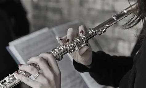 10 Fun Facts About The Flute JournalHow