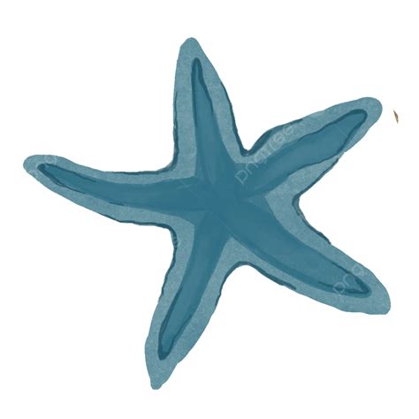 Estrela Do Mar Azul Png Estrela Do Mar Mar Estrela Do Mar De Desenho Animado Imagem Png E