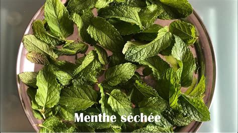 Menthe S Ch E En Poudre Ou Naanaa Youtube