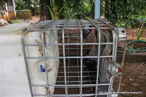 Ibc Aquaponics Kerala Ibc Tank Preparation Day1