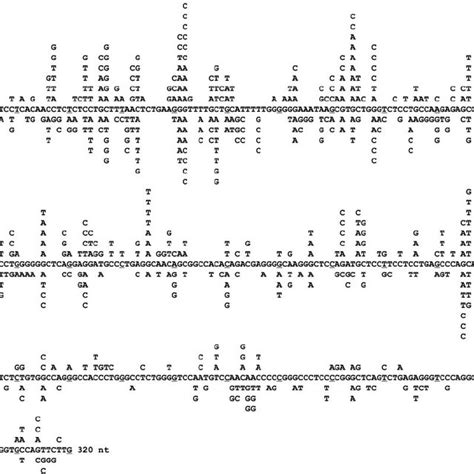 Distribution Of Mutations In The J H Intron Region Mutations From