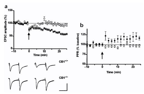 Postsynaptic Endocannabinoid Release Is Critical To Long Term