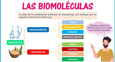 Tomi Digital Clasificaci N De Los Alimentos Ln