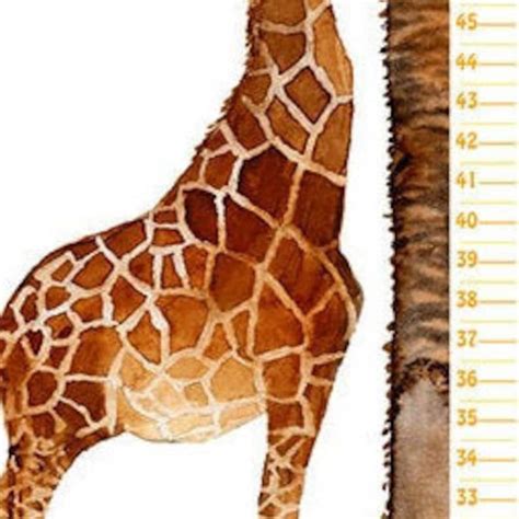 Giraffe Growth Chart - Etsy