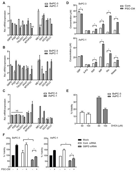 PSC Activates Metabolic Pathways And ROS Detoxification In PDAC Cells