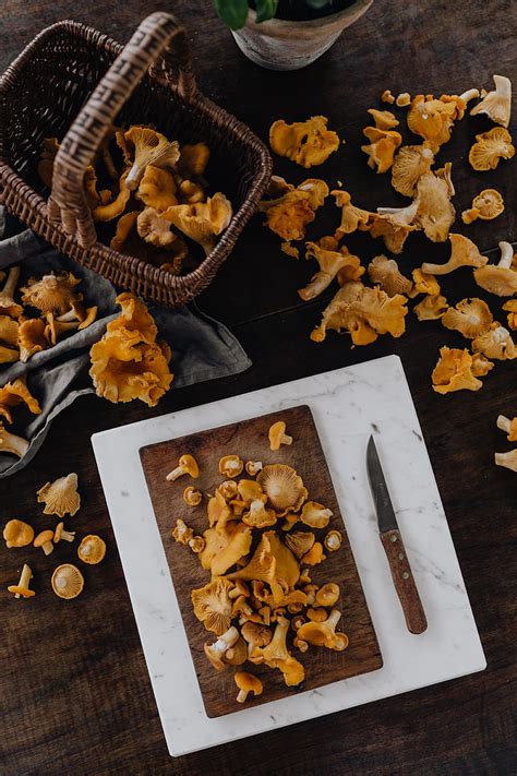 Picking Mushrooms Chantarelle In The Woods Free Photos Uihere