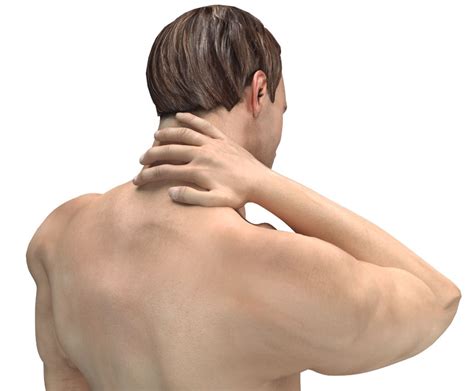 What Are The Causes of Neck and Shoulder Pain? - Stephen P. Courtney, M.D.