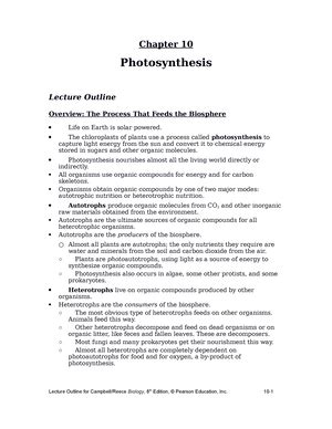 Doc AP Bio Ch 06 Detail Lect Outline Chapter 6 A Tour Of The Cell