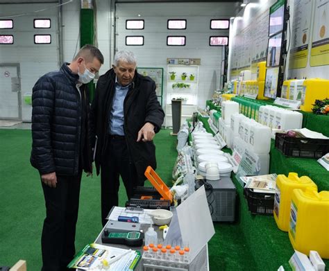 🐲«Горыныч» для выгребных ям. Полный обзор биопрепарата, принцип его ...