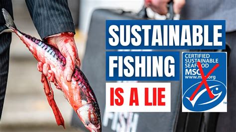 Fishing For The Truth About The Marine Stewardship Council Msc Youtube