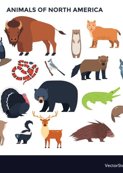 American Alligator Fan Casting For North American Animals The Animated