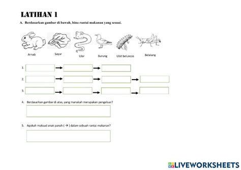 Latihan Rantai Makanan Interactive Worksheet Live Wor