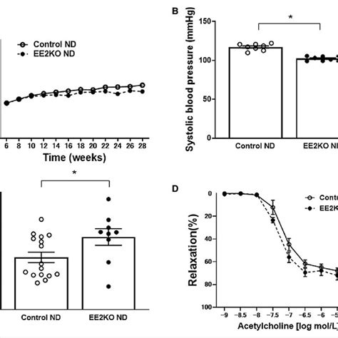 Efficiency Of Erk Deletion And Characteristics Of Ee Ko Mice A