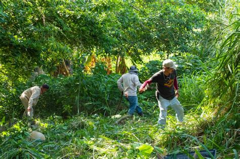 El Heraldo De Poza Rica Ayuntamiento Comprometido Con La Limpieza