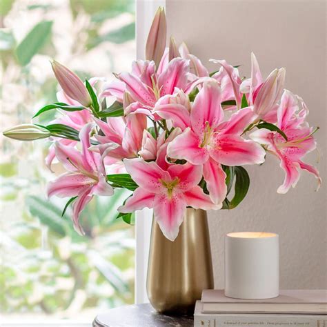 Las Vegas Love Lily Vase Vip Floral Designs