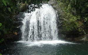 Blue Mountains Jamaica – Come Discover Jamaica