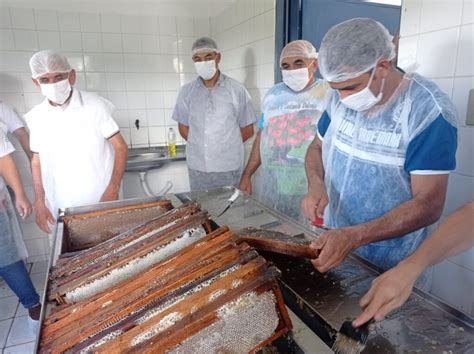 Sistema Ocb Piau Realiza Treinamento Em Boas Pr Ticas De Colheita E