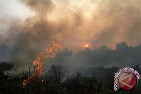 1 602 Titik Api Terdeteksi Di Kaltim Kaltara ANTARA News Kalimantan Utara