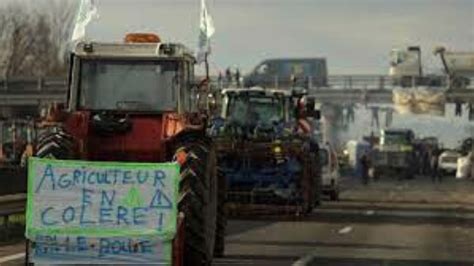 French Farmers Protest What Are The Top Reasons