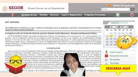 Lectura Lineamientos Para La Integraci N Operaci N Y Funcionamiento De