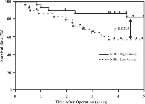 Survival Curves Of 61 Escc Patients The 5 Year Overall Survival Rate Download High