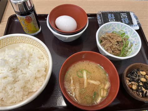 【すき家】白髪ねぎ牛丼 にんにく白髪ねぎ牛丼 本日スタート 白髪ねぎのシャキシャキ食感とゴマ油香るピリ辛【211117】 俺ノランキング