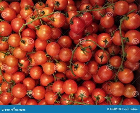 Mass Of Cherry Tomatoes Still On The Vine Stock Photo Image Of Plump