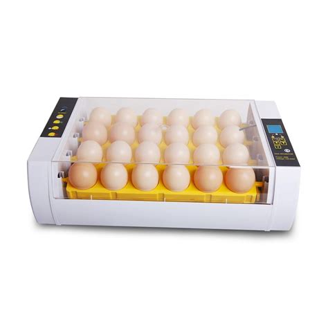 Full Automatic 24 Poultry Chicken Egg Incubator HHD China