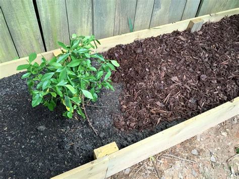 18 Raised Bed Lasagna Gardening Ideas To Consider SharonSable