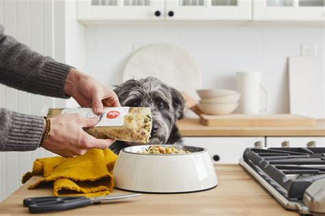 A person feeding fresh dog food to a dog in a kitchen. - This Dogs Life