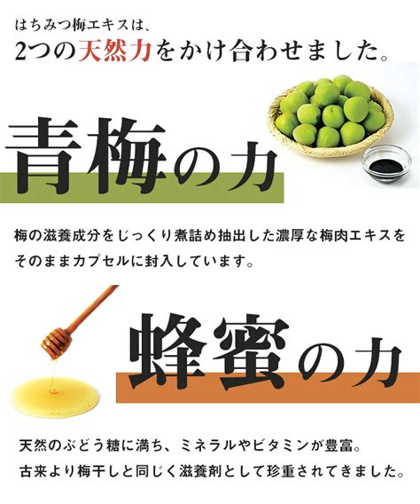 【楽天市場】【梅肉エキス カプセル】はちみつ梅エキス 約半月分（1袋） ムメフラール クエン酸 梅ポリフェノール 紀州みなべ産 梅エキス 梅