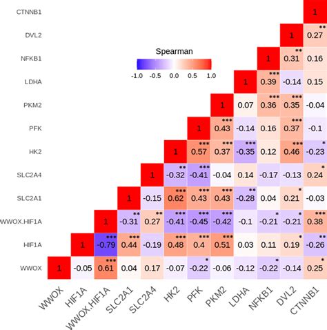 The Spearman S Correlation Analysis Of Genes Expression In The GDM