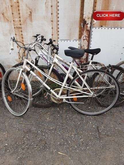 Mixed Bike Lot Rideau Auctions