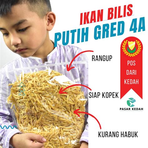 G Ikan Bilis Putih Gred A Kopek Rangup Buang Kepala White