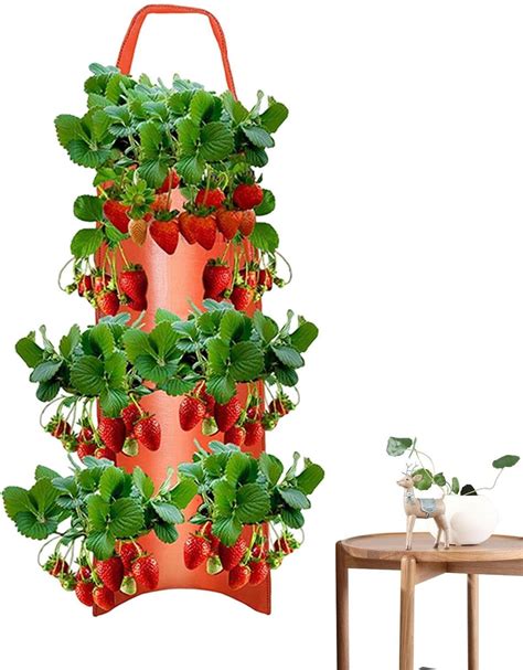 Amazon Hanging Tomato Upside Down Upside Down Tomato Planter