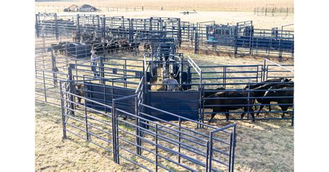 Mje Livestock Equipment Unveils The Future Of Ranching With Adaptable