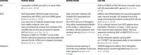 Studies on chromatin looping in patients and rodent models. | Download ...