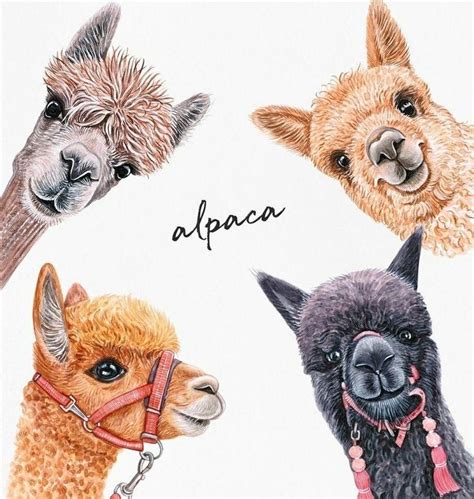 Watercolor Llama Painting