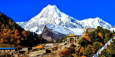 Manaslu Base Camp Trek Guide