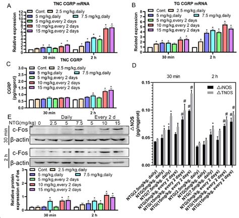 Migrainous Mediators Of The Tnc And Tg In Rats With Ntg Induced