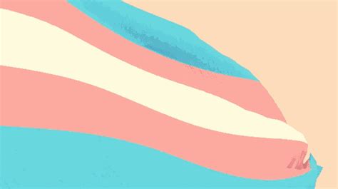 Trans Pride Flag Trans Flag  Trans Pride Flag Trans Flag Pride