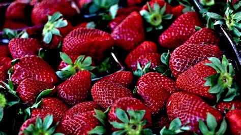 Closeup Photo Of Bunch Of Strawberries Hd Wallpaper Wallpaper Flare