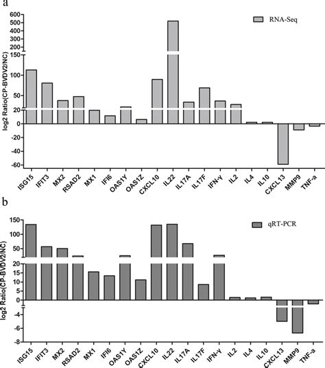 Verification Of The Mrna Level Of Some Degs By Qrt Pcr A The Results