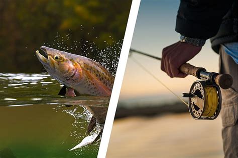 The 10 Longest Rivers In Maine Your Guide To Scenic Waterways