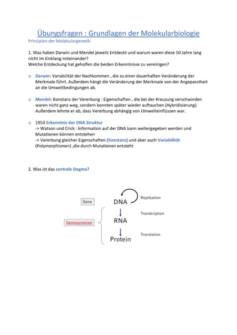 Übungsfragen Grundlagen der Molekularbiologie bungsfragen