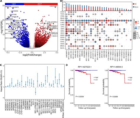 Frontiers Integrated Characterization Of LncRNA Immune Interactions