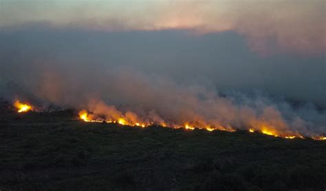 Inc Ndios Levam Mato Grosso Do Sul A Decretar Situa O De Emerg Ncia