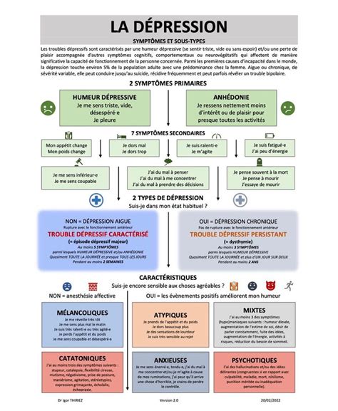 Documentations La dépression Symptôme et sous types Dr Igor THIRIEZ